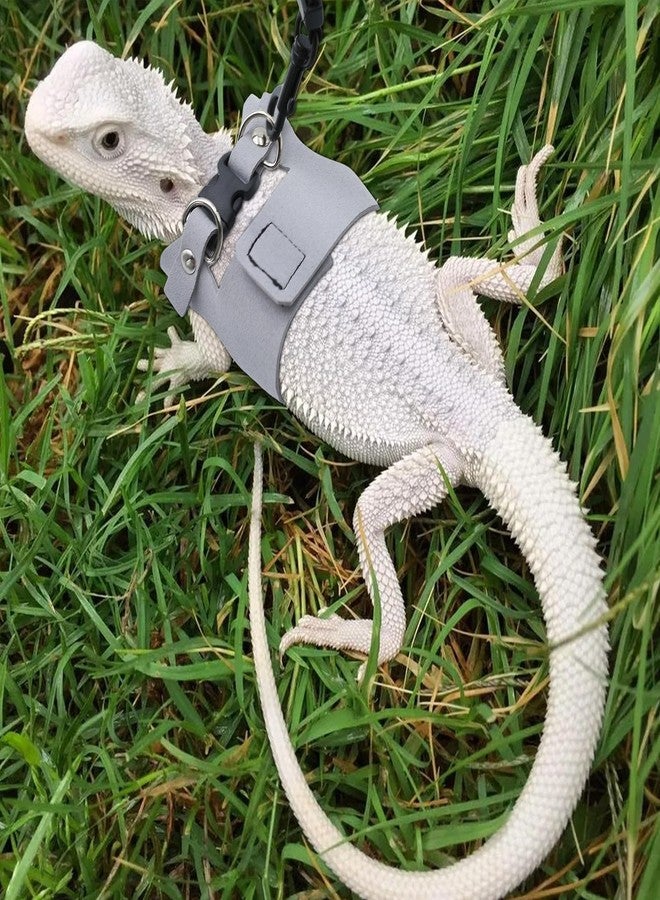 aeloer Bearded Dragon Harness and Leash Set, 3 Size Adjustable Soft Leather Reptile Leash, Lizard Harness with Retractable, Small Animal Outdoor Walking Vest with Traction Rope, 3 Pack, Grey - Image 5